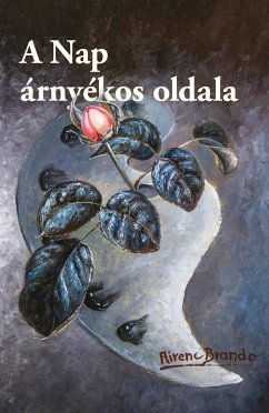 A Nap árnyékos oldala (eBook, ePUB) - Brando, Airenc