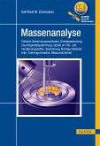 Massenanalyse (eBook, PDF)