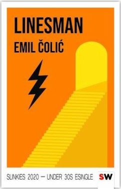 Cover Linesman (eBook, ePUB)