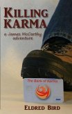 Killing Karma (eBook, ePUB)