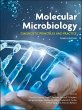 Molecular Microbiology (eBook, PDF) - Bild 1
