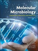 Molecular Microbiology (eBook, PDF)