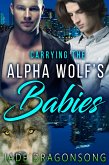 Carrying The Alpha Wolf's Babies (eBook, ePUB)