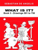 What Is It Book 3 (eBook, ePUB)
