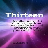 Thirteen (eBook, ePUB)