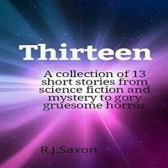Cover Thirteen (eBook, ePUB)