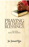 Praying For Divine Blessings (eBook, ePUB)