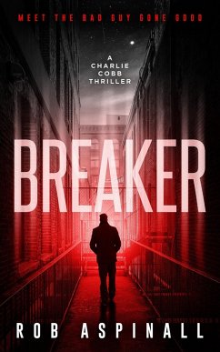 Cover Breaker (eBook, ePUB)