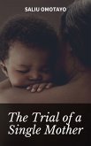 The Trial of a Single Mother (eBook, ePUB)