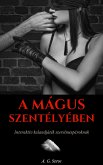 A Mágus szentélyében (eBook, ePUB)