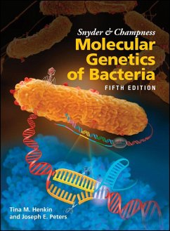 Cover Snyder and Champness Molecular Genetics of Bacteria (eBook, PDF)