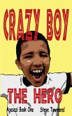 Crazy Boy the Hero (eBook, ePUB)