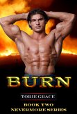 Burn (eBook, ePUB)