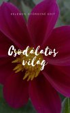 Csodálatos világ (eBook, ePUB) Csodálatos világ (eBook, ePUB)