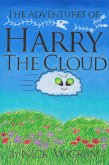 Harry the Cloud (eBook, ePUB)