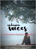 Unknown Voices (eBook, ePUB)
