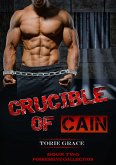 Crucible of Cain (eBook, ePUB)