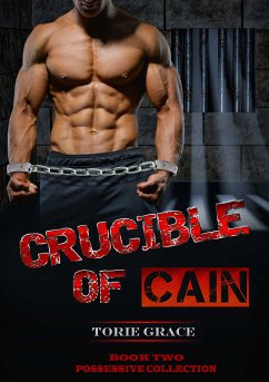 Crucible of Cain (eBook, ePUB) - Grace, Torie