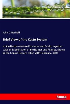 Brief View of the Caste System - Nesfield, John C.