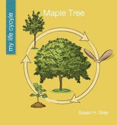 Maple Tree - Gray, Susan H