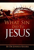 What Sin Did To Jesus (eBook, ePUB)