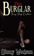 The Burglar (eBook, ePUB) - Bild 1