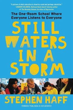 Still Waters in a Storm - Haff, Stephen
