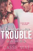 I Knew You Were Trouble (Troublemaker Series, #1) (eBook, ePUB)