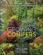 Growing Conifers - Bild 1