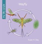 Mayfly