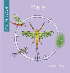 Mayfly - Gray, Susan H