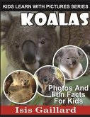 Koalas: Photos and Fun Facts for Kids