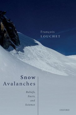 Cover Snow Avalanches