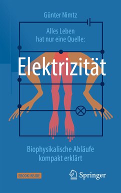 Alles Leben hat nur eine Quelle: Elektrizität (eBook, PDF) - Nimtz, Günter