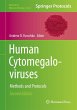 Human Cytomegaloviruses - Bild 1