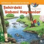 Sehirdeki Yabani Hayvanlar