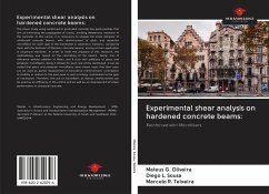 Experimental shear analysis on hardened concrete beams: - Oliveira, Mateus G.; Sousa, Diego L.; Teixeira, Marcelo R.