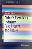 China’s Electricity Industry (eBook, PDF)