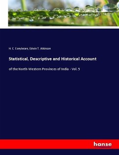 Statistical, Descriptive and Historical Account - Conybeare, H. C.;Atkinson, Edwin T.