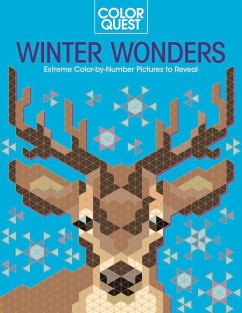 Color Quest: Winter Wonders - Geremia, Daniela