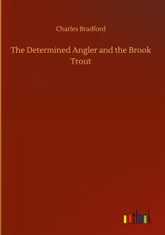 The Determined Angler and the Brook Trout - Bradford, Charles