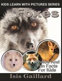 Foxes: Photos and Fun Facts for Kids