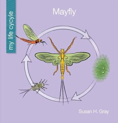 Mayfly - Gray, Susan H