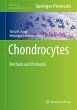 Chondrocytes - Bild 1