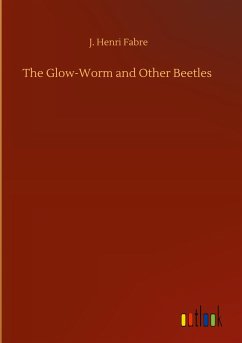 The Glow-Worm and Other Beetles