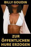 Zur öffentlichen Hure erzogen (eBook, ePUB)