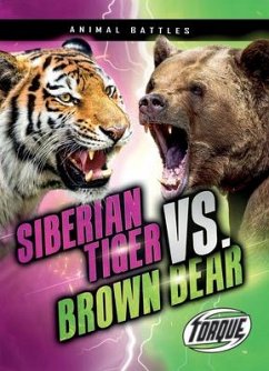 Siberian Tiger vs. Brown Bear - Sommer, Nathan