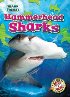 Hammerhead Sharks - Pettiford, Rebecca