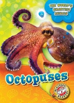 Octopuses - Mattern, Joanne