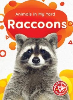Raccoons - McDonald, Amy